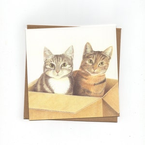 2 gatos em uma caixa, cartão dobrado com envelope, impressão de desenho a lápis de cor