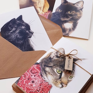 Chats, chats, lot de 10 cartes pliées avec enveloppe, impressions de dessins