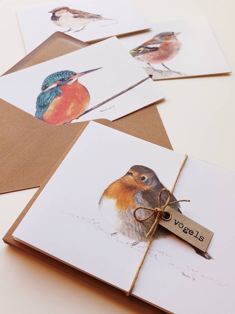 Vogels, set van 10 dubbele kaarten met envelop, prints van tekeningen afbeelding 1