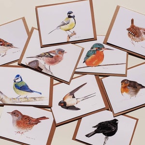 Vogels, set van 10 dubbele kaarten met envelop, prints van tekeningen afbeelding 3