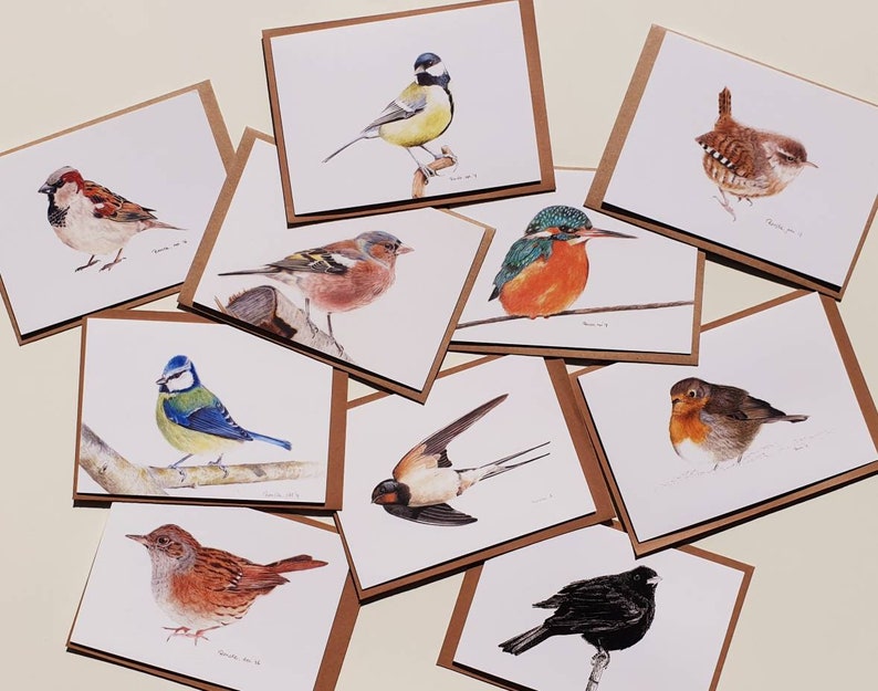 Vogels, set van 10 dubbele kaarten met envelop, prints van tekeningen afbeelding 3