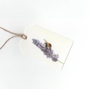 Hummel auf Lavendel, 6er Set Geschenkanhänger, Druck einer Buntstiftzeichnung