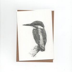 Martin-pêcheur, carte pliée avec enveloppe, impression d'un dessin au stylo