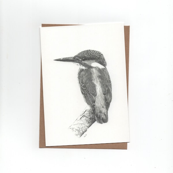 IJsvogel, dubbele kaart met envelop, print van pentekening