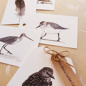 Oiseaux à l'encre, lot de 10 étiquettes cadeaux, impression de dessins à la plume
