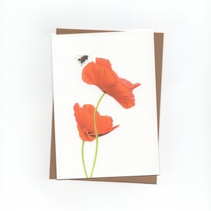 Klaprozen met hommel, gevouwen kaart met envelop, print van kleurpotloodtekening