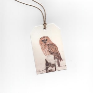 Op de afbeelding: Een rechthoekig cadeaulabel met een gedetailleerde illustratie van een bruine uil die op een met sneeuw bedekte houten paal zit. De uil heeft grote, donkere ogen en een lichtbruin en wit verenkleed. Bovenop is een touwtje bevestigd.