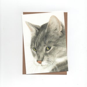 Chat gris, carte pliée avec enveloppe, impression d'un dessin au crayon de couleur
