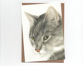 Graue Katze, Doppelkarte mit Umschlag, Druck einer Buntstiftzeichnung