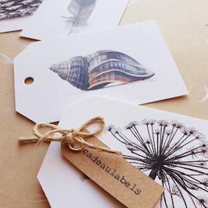 Natuurvondsten, set van 10 cadeaulabels, print van tekeningen