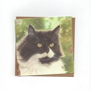 Maine Coon, chat, carte pliée avec enveloppe, impression d'un dessin au crayon de couleur