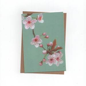 Fleur de cerisier japonais, Sakura, carte pliée avec enveloppe, impression d'un dessin au crayon de couleur