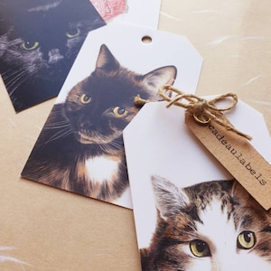 Chats, chats, lot de 10 étiquettes cadeaux, impression de dessins
