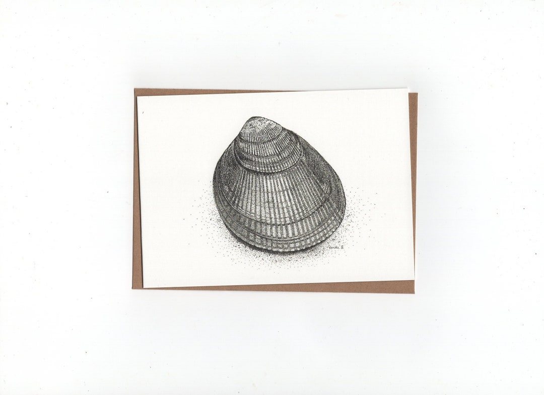 Cockleshell Print Norwegian Cockle, Shell, Folded Card With Envelope, Print of a Pen- and ...