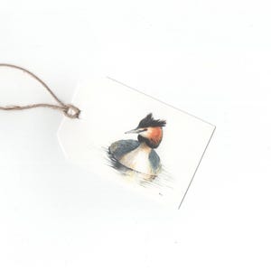 Grebe, conjunto de 6 etiquetas de presente, impressão de desenho a lápis de cor