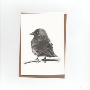 Taccola, biglietto piegato con busta, stampa di un disegno a penna