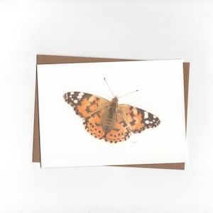 Distelvlinder, vlinder, gevouwen kaart met envelop, print van kleurpotloodtekening