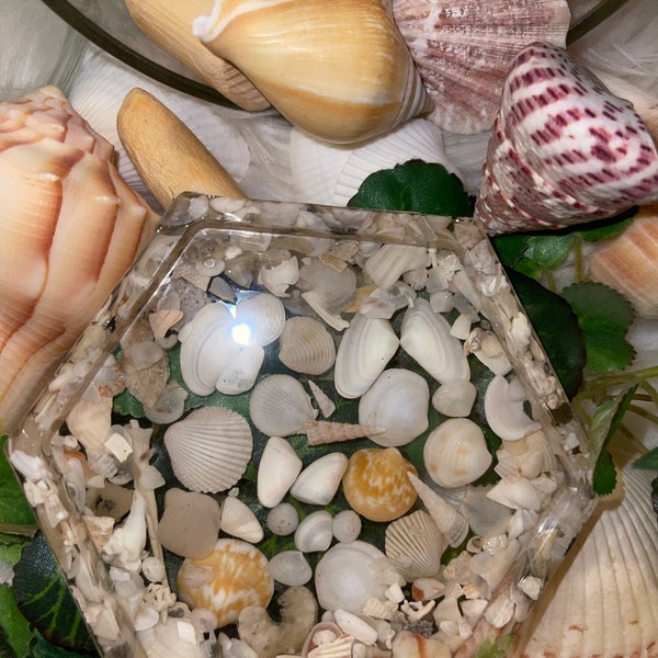 Seashell Coasters - Etsy