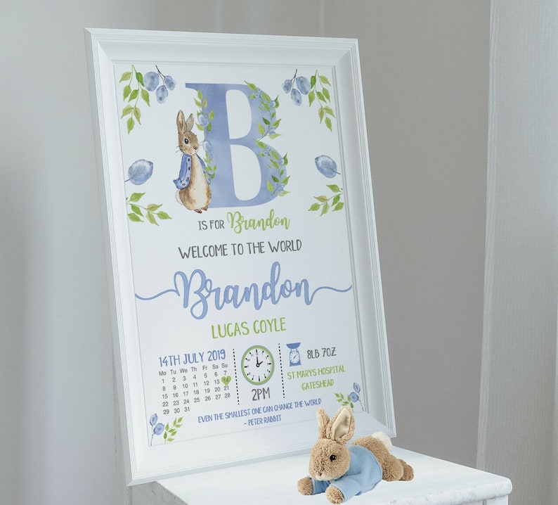 peter rabbit birth announcements