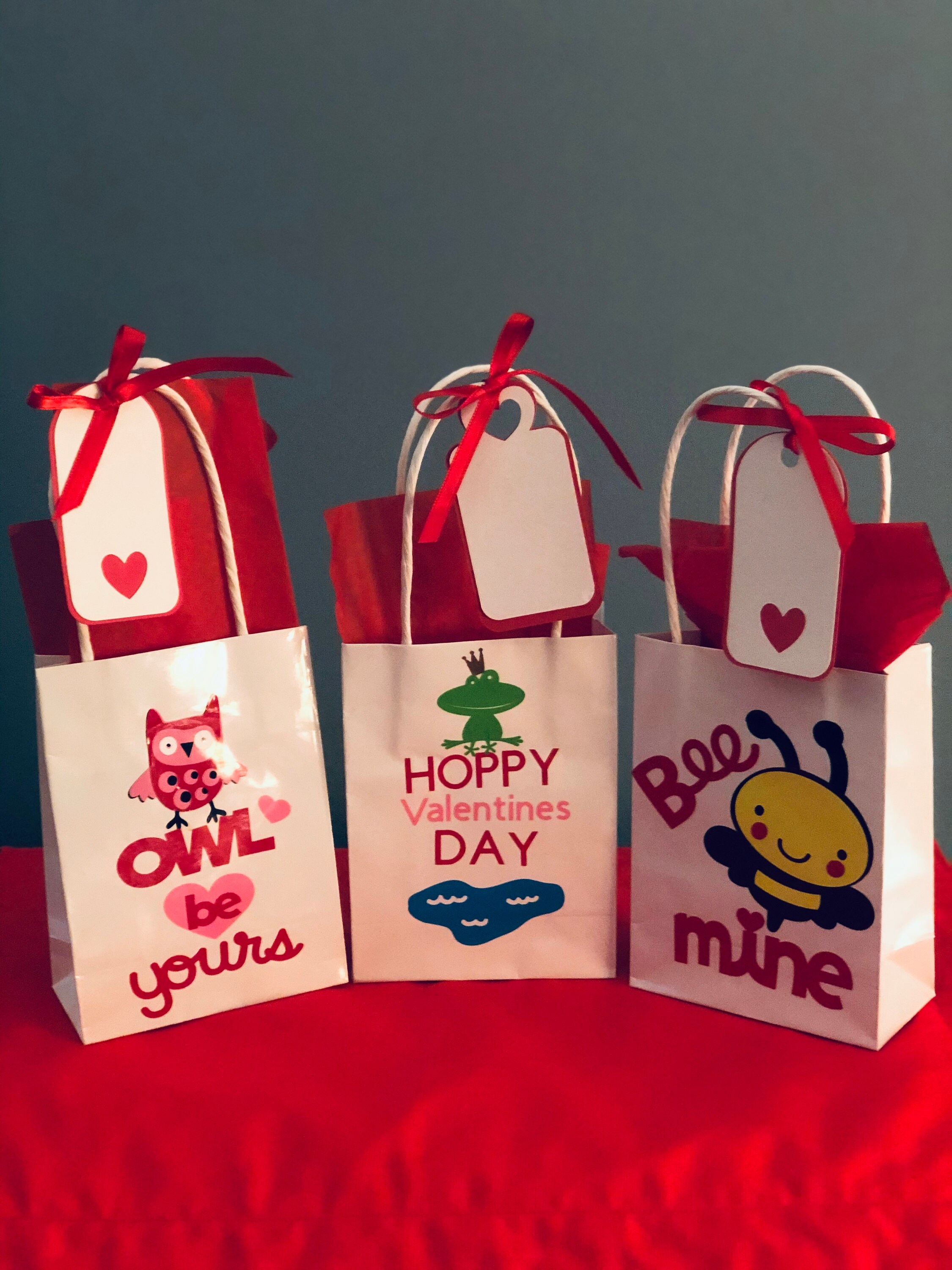 Valentine Gift Bags Valentine Goody Bags Valentine Treat Etsy