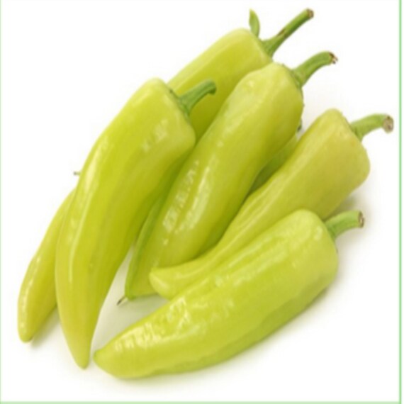 50 Seeds Sweet Charleston Pepper Seeds Herliom A047 Natural Pepper