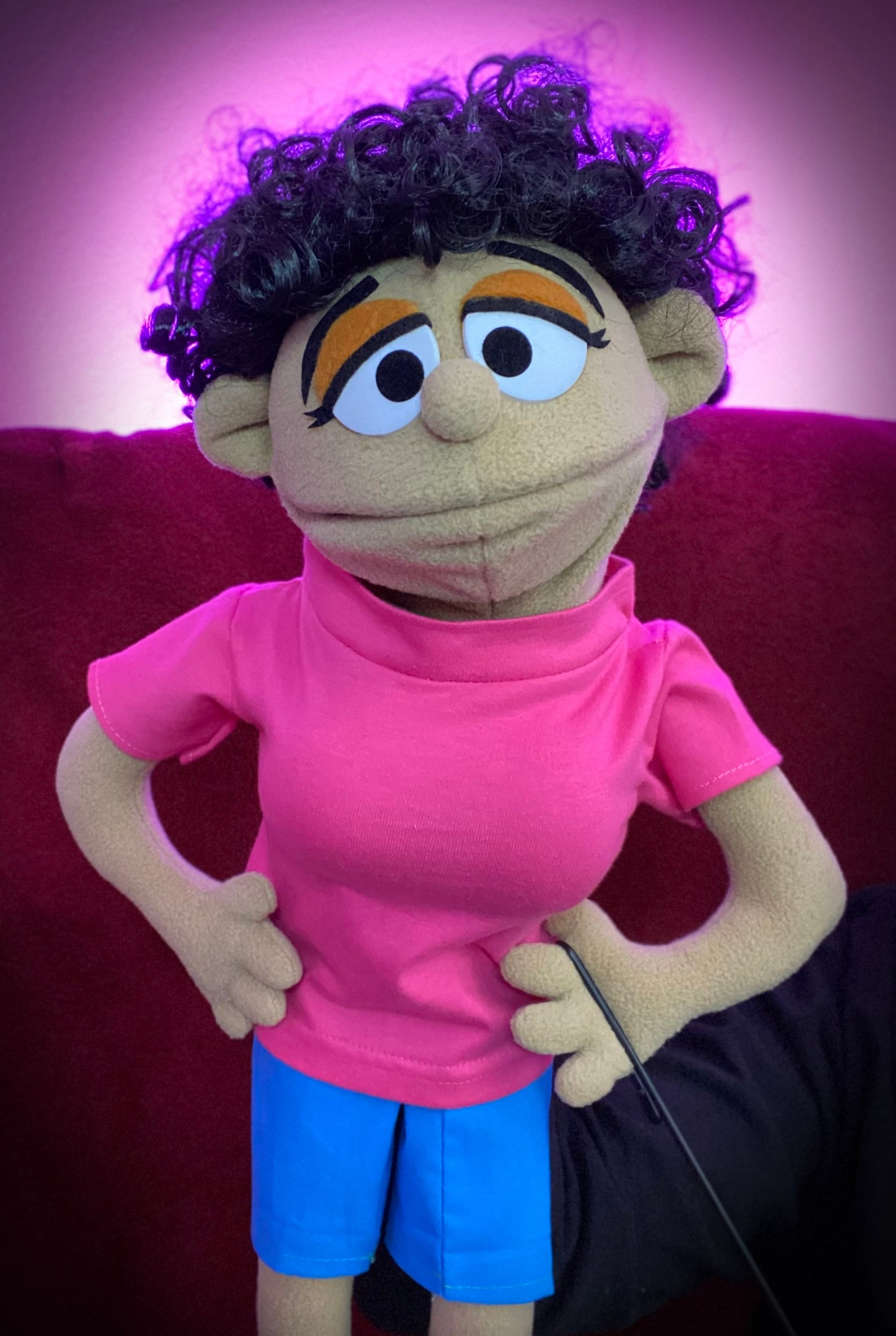 Muppet Style Professional Puppet Full Body Removable Legs Custom Made