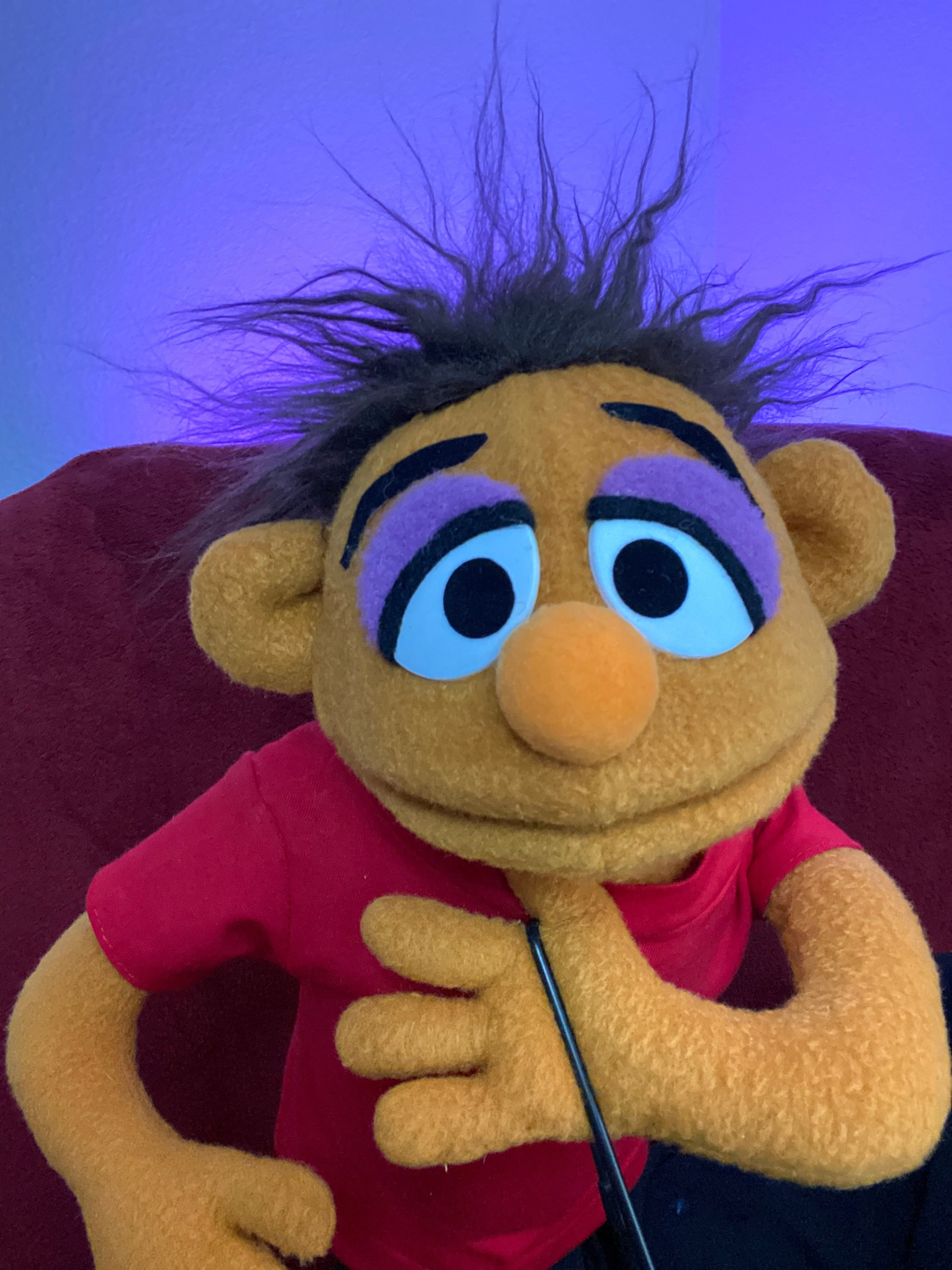 Muppet Style Professional Puppet Half Body Loveable Etsy