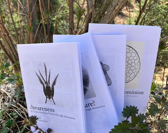 Nature Zine Set: Awareness, Nature, Curiosity (Digital Download)