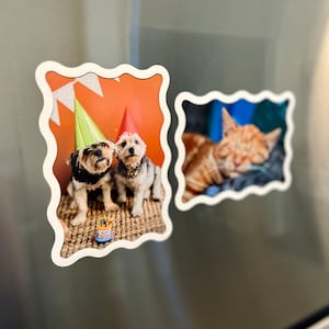 May include: Two magnets with a wavy border are displayed on a metallic surface. One magnet features two dogs wearing party hats, with a birthday cake. The other magnet shows a sleeping orange tabby cat.
