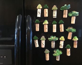 Succulent Cork Magnets