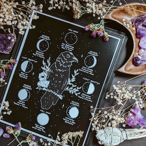 Luna RAVEN-MOONPHASE ~ Print. Raven. Crow. Moonphase. Moon. CrescentMoon. Witch. Witches. Illustration. Drawing. Magic. Art.