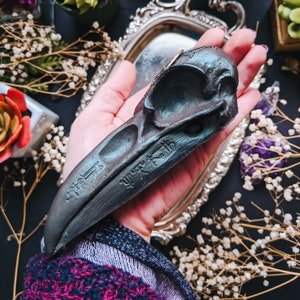 Luna SHINY GREEN RAVEN Home. Decoration. Art. Gift. Crow. Resin. Goth. Witch. Moon. Skull. Moonphase. CrescentMoon. Magic. Dark. image 5