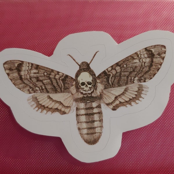 Death's-Head Hawkmoth sticker- vinyl die-cut sticker 4" x 2" sepia on white background- death head hawk moth skull silence of the lambs