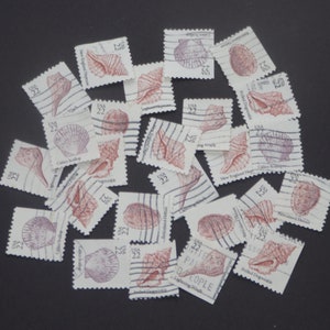 May include: A collection of 22 US postage stamps featuring various seashells. The stamps are white with red and brown illustrations of the shells. The stamps are arranged in a random pattern on a black surface.