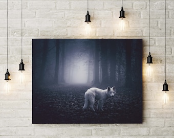 White wolf photography, fairy tale photograph, wolf print, white wolf
