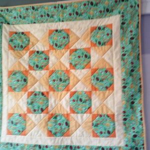insect/garden baby quilts