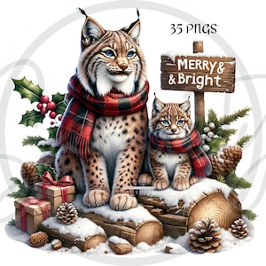 watercolor clipart, woodland animals, christmas clipart, animal graphics, holiday decor, cute animal art, png clipart, forest animals, winter clipart, sublimation designs, commercial use art, woodland decor, baby animal clipart