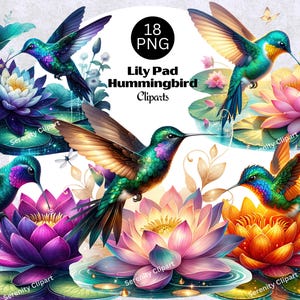 Clipart de beija-flor Lily Pad, Clipart de beija-flor, Arte de pássaro em aquarela, Lily Pad PNG, Flor de lótus, Clipart de vida no lago, Download digital