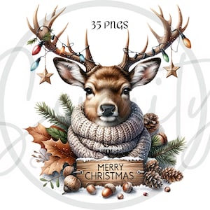 watercolor clipart, woodland animals, christmas clipart, animal graphics, holiday decor, cute animal art, png clipart, forest animals, winter clipart, sublimation designs, commercial use art, woodland decor, baby animal clipart