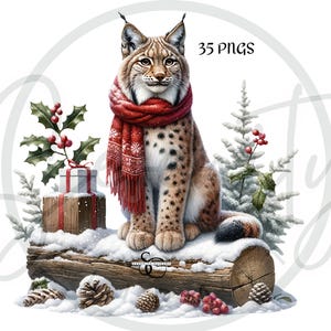 watercolor clipart, woodland animals, christmas clipart, animal graphics, holiday decor, cute animal art, png clipart, forest animals, winter clipart, sublimation designs, commercial use art, woodland decor, baby animal clipart