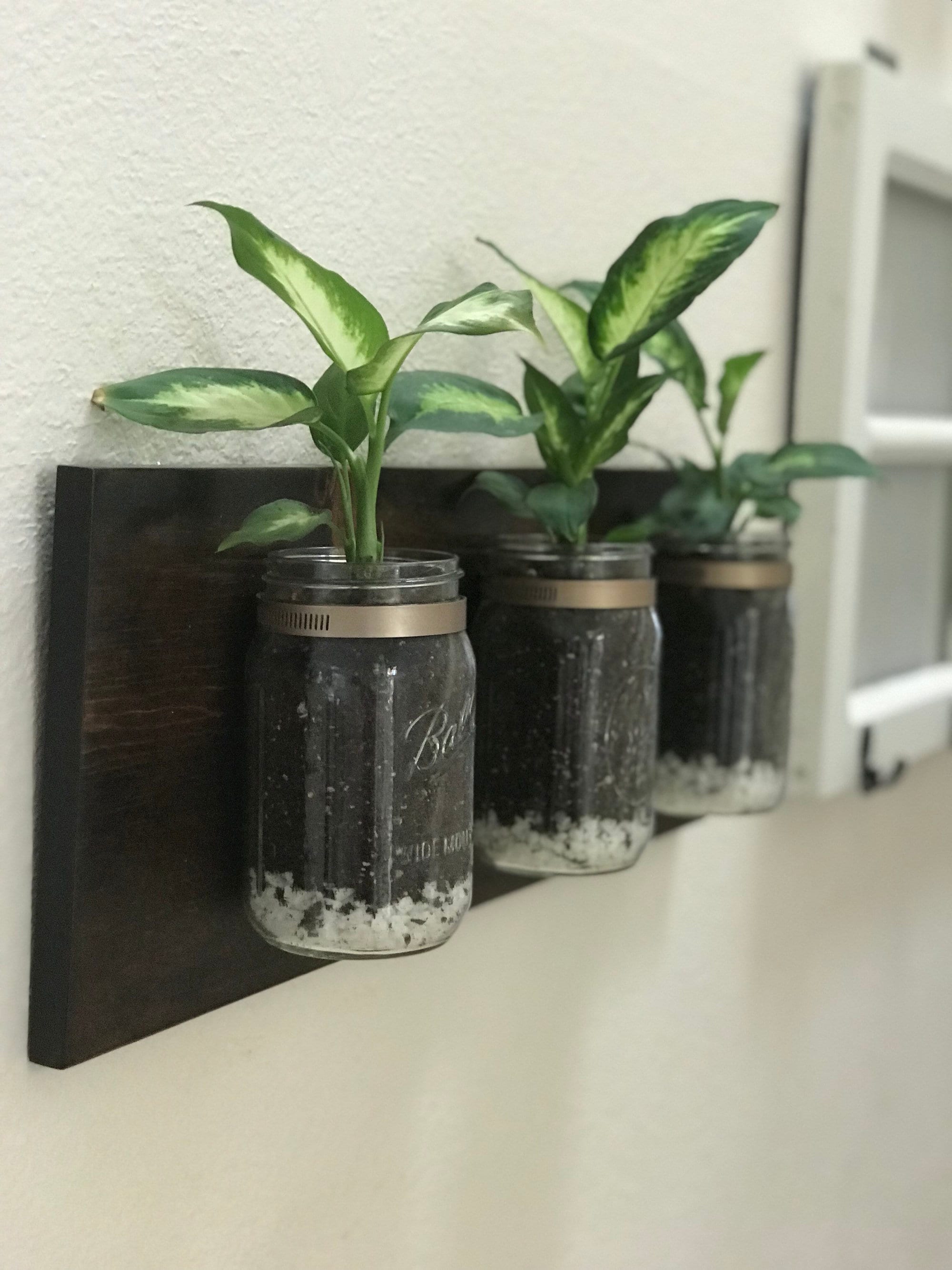 Quart Size Mason Jar Planter Mason Jar Wall Planter Mason Etsy