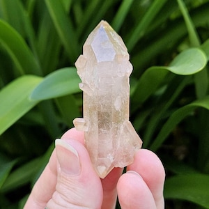 Scarlet temple lemurian - Etsy 日本
