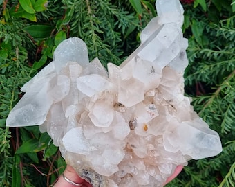 Himalayan Quartz Cluster / 1885 grams