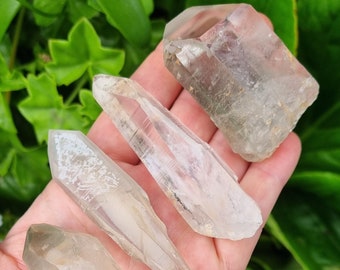 Lodolite Quartz Crystal Lot: Shamanic Dream Garden Quartz