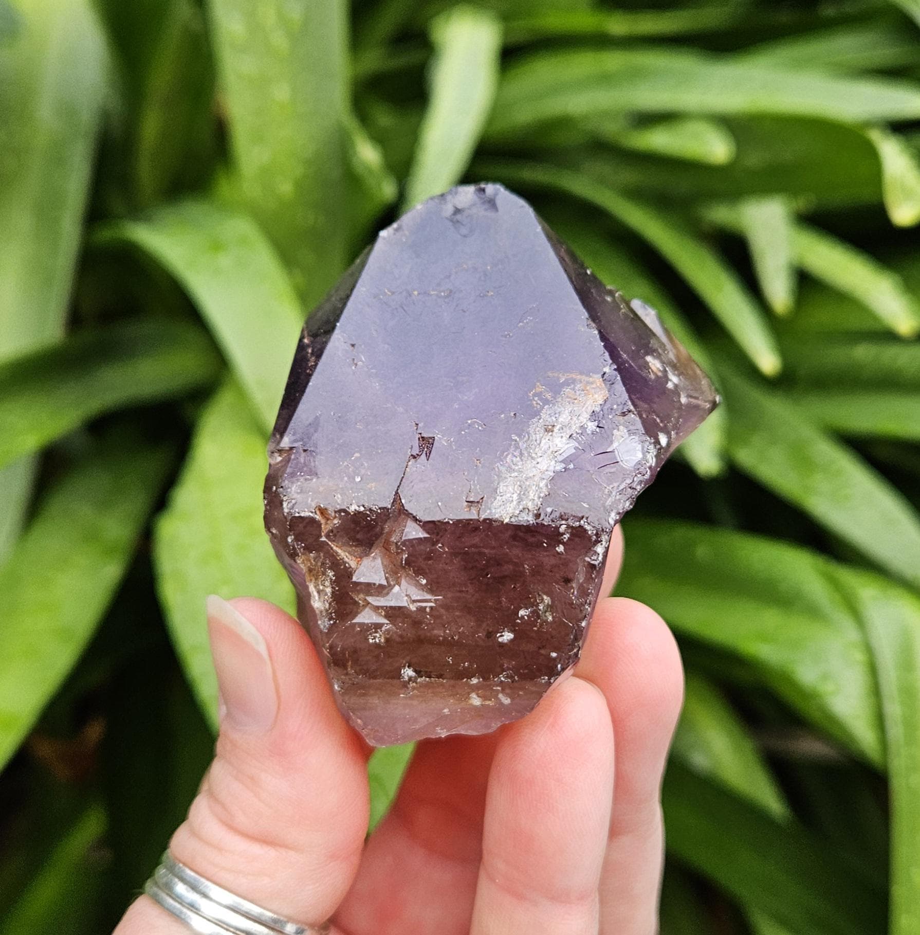 Australian Amethyst / Smokey Amethyst / Elestial / Pilbara Region / 187 grams