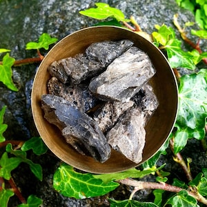 Darwin Glass / Tektite / Tasmania / Medium size / Intuitively Picked