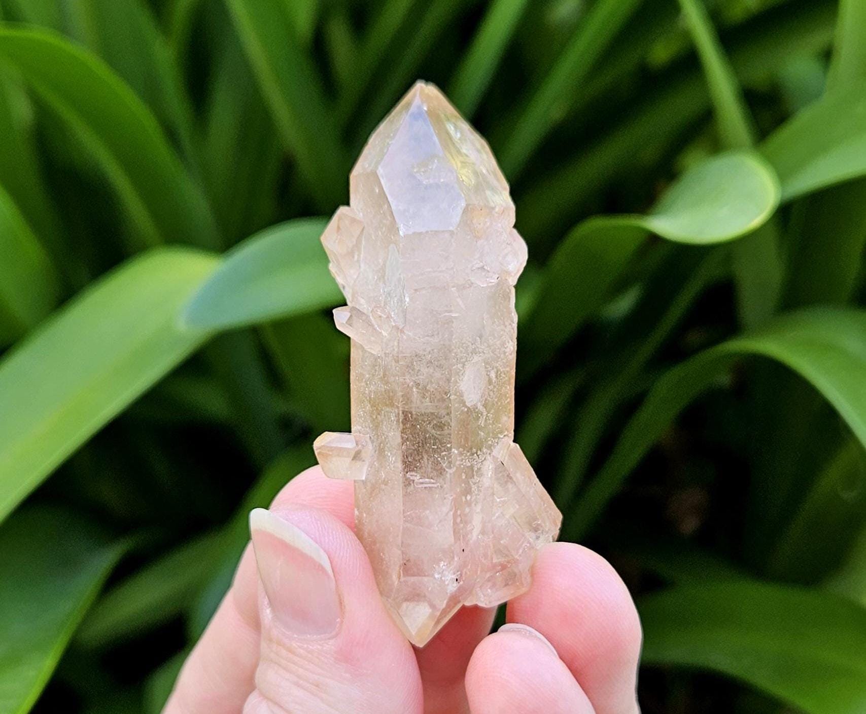 スカーレットテンプル レムリアンシードクリスタル / 両端が尖った