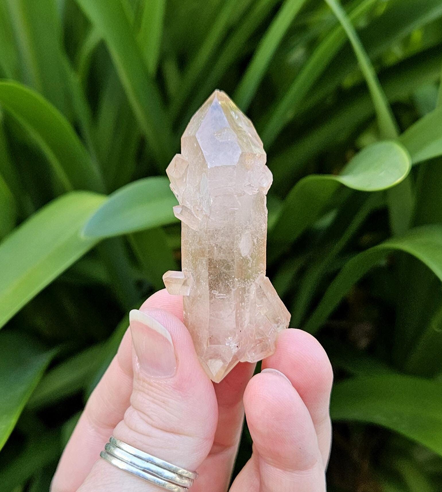 Scarlet temple lemurian - Etsy 日本