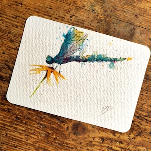 Libélula en reposo: una pintura de acuarela original, pintura pequeña, arte original