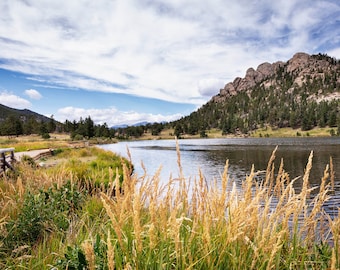 Lily Lake Fine Art Photo Print